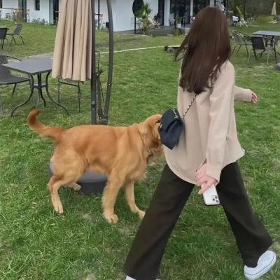 合金杀手